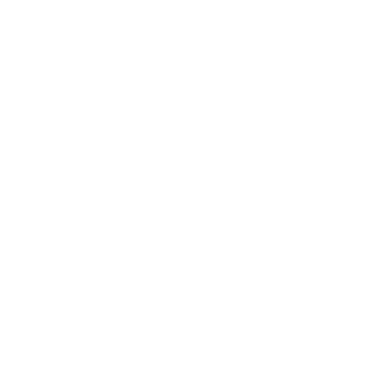 BoxId Logo